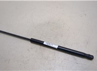  Амортизатор стекла багажника Ford Escape 2007-2012 20265786 #1