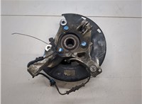23118285, 13507016 Ступица (кулак, цапфа) Chevrolet Volt 2010-2015 20266037 #3