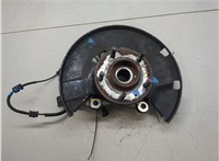 23118285, 13507016 Ступица (кулак, цапфа) Chevrolet Volt 2010-2015 20266037 #4