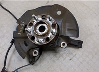  Ступица (кулак, цапфа) Hyundai Santa Fe 2015-2018 20266063 #1
