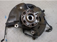  Ступица (кулак, цапфа) Hyundai Santa Fe 2015-2018 20266074 #1