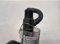 166001137R Форсунка топливная Renault Clio 2005-2009 20266259 #4