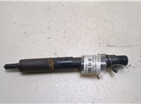 166001137R Форсунка топливная Renault Clio 2005-2009 20266261 #1