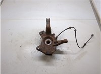  Ступица (кулак, цапфа) Renault Megane 3 2009-2016 20266476 #2