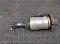 7L1Z18125CK, 7L1Z5A891A Амортизатор подвески Lincoln Navigator 2006-2014 20266743 #10