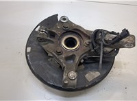  Ступица (кулак, цапфа) Chevrolet Volt 2010-2015 20266849 #2