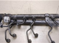  Рампа (рейка) топливная Mercedes R W251 2005- 20266977 #1