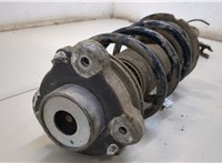  Амортизатор подвески Citroen Jumper (Relay) 2014- 20267401 #2