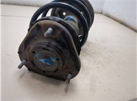 4852080256, 4813112D70 Амортизатор подвески Toyota Corolla E15 2006-2013 20267929 #7