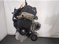  Двигатель (ДВС) Volkswagen Polo 2001-2005 20268018 #1