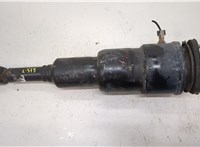  Амортизатор подвески Lexus LS460 2006-2012 20268521 #1