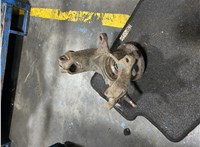 31203413226, 3413226, 31213450558, 3450558 Ступица (кулак, цапфа) BMW X3 E83 2003-2010 20268606 #3