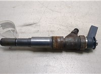 13537789661, 7789661 Форсунка топливная BMW X5 E53 2000-2007 20268860 #1