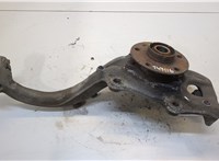8K0407254T, 8K0407607 Ступица (кулак, цапфа) Audi A5 (8T) 2007-2011 20268959 #1