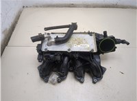  Коллектор впускной Skoda Yeti 2009-2014 20269553 #1