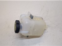42439123 Бачок расширительный Chevrolet Volt 2015-2019 20269832 #2