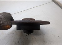  Ступица (кулак, цапфа) Renault Scenic 2009-2012 20270575 #2