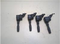  Катушка зажигания Volkswagen Jetta 7 2018- 20270700 #1