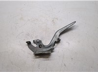  Петля капота Toyota Sienna 3 2010-2014 20270879 #1