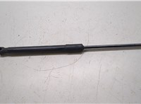  Амортизатор капота KIA K5 2019- 20270986 #1
