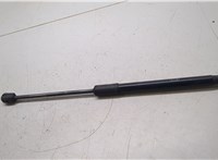  Амортизатор капота KIA K5 2019- 20270988 #1
