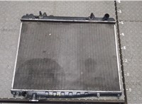  Радиатор охлаждения двигателя Nissan Pathfinder 1996-2005 20271200 #1