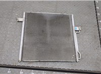  Радиатор кондиционера Ford Explorer 2001-2005 20271236 #2