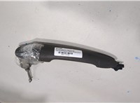  Ручка двери наружная Renault Scenic 2003-2009 20271535 #1