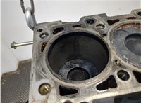  Блок цилиндров (Шорт блок) Mercedes Vito W639 2004-2013 20271652 #7