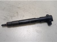 A651070487 Форсунка топливная Mercedes C W204 2007-2013 20272295 #1