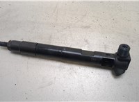 A651070487 Форсунка топливная Mercedes C W204 2007-2013 20272297 #1