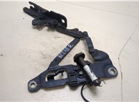  Петля капота BMW 5 F10 2010-2016 20272899 #1