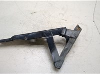  Петля капота Hyundai Coupe (Tiburon) 2002-2009 20272906 #1