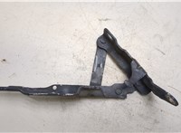  Петля капота Hyundai Coupe (Tiburon) 2002-2009 20272906 #3
