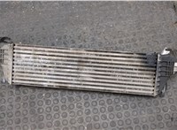 17512247966 Радиатор интеркулера BMW X5 E53 2000-2006 20273103 #6