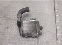  Радиатор интеркулера Hyundai Tucson 1 2004-2009 20273127 #1