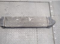  Радиатор интеркулера Land Rover Freelander 2 2007-2014 20273168 #2