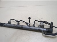  Рампа (рейка) топливная Mercedes A W169 2004-2012 20273380 #1