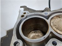  Блок цилиндров (Шорт блок) Toyota Yaris 2005-2011 20274129 #11