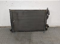  Радиатор охлаждения двигателя Renault Scenic 1996-2002 20275640 #1