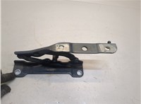  Петля капота KIA K5 2019- 20275646 #2