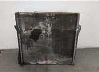  Радиатор охлаждения двигателя BMW X5 E53 2000-2007 20275655 #1