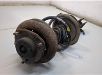  Амортизатор подвески Nissan X-Trail (T30) 2001-2006 20275658 #2