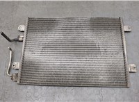  Радиатор кондиционера Renault Scenic 1996-2002 20275686 #1
