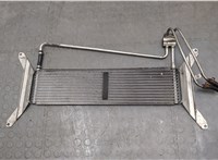  Радиатор масляный Opel Omega B 1994-2003 20275831 #3