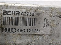  Радиатор охлаждения двигателя Audi A8 (D3) 2002-2005 20276342 #3