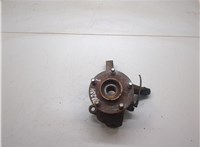  Ступица (кулак, цапфа) Nissan Almera Tino 20276546 #1