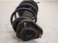  Амортизатор подвески Toyota Avensis 2 2003-2008 20276594 #3