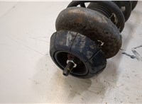  Амортизатор подвески Suzuki Swift 2003-2011 20276618 #3