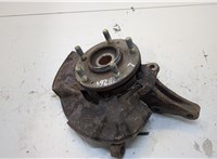  Ступица (кулак, цапфа) Hyundai Tucson 1 2004-2009 20276738 #1